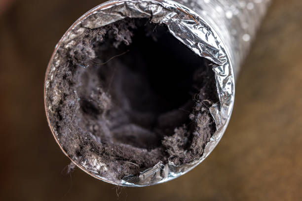 Best Ductwork Cleaning Services  in Williamstown, WV