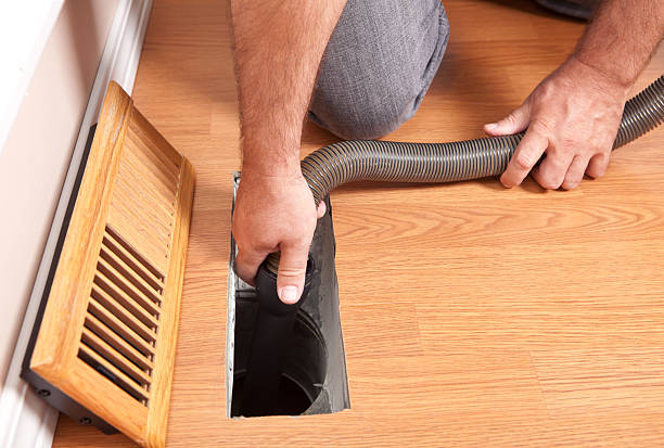 Best Affordable Duct Cleaning Services  in Williamstown, WV